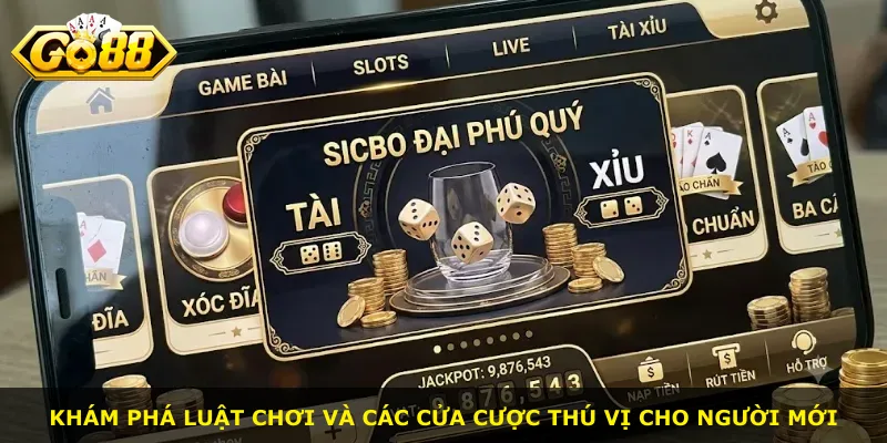 Khám phá luật chơi và các cửa cược thú vị cho người mới