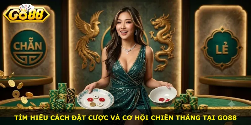 Tìm hiểu cách đặt cược và cơ hội chiến thắng tại Go88