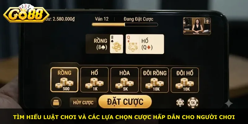 Tìm hiểu luật chơi và các lựa chọn cược hấp dẫn cho người chơi